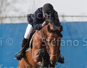 Le Jeune Farouk TosTour 2013- S5 3276 : Arezzo Equestrian Centre, Farouk de la Pomme, Le Jeune Philippe, Toscana Tour 2013, foto di Stefano Secchi ©